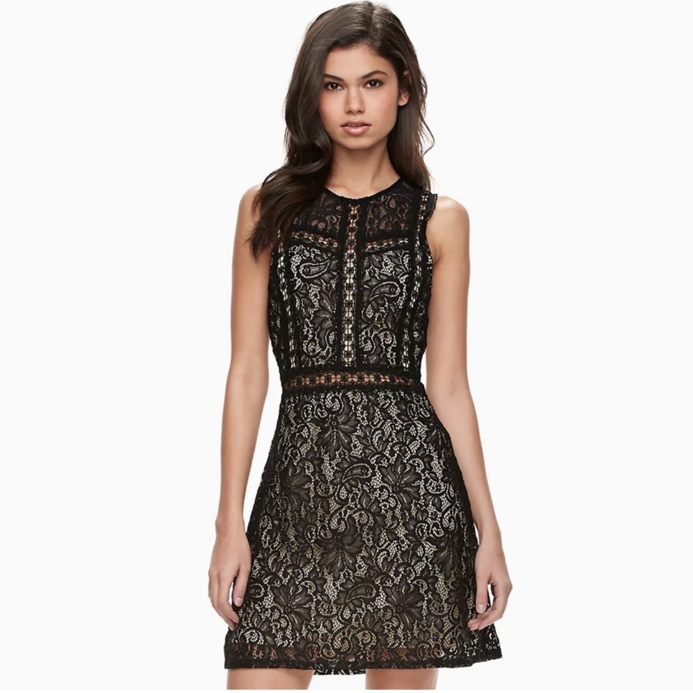 Disney's Beauty and the Beast Lace Shift Dress